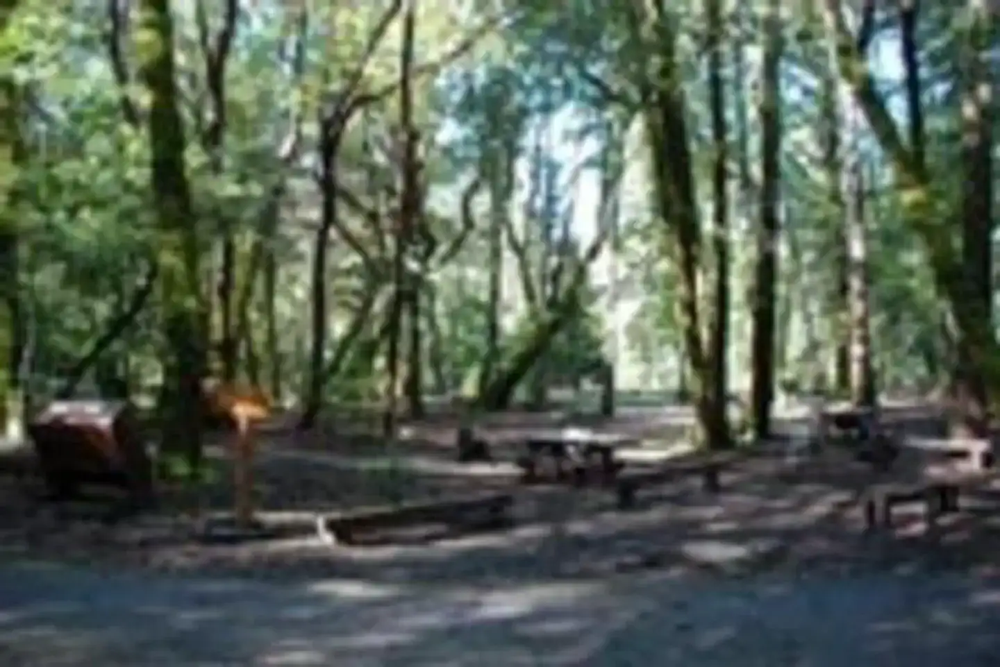 Camper-submitted photo at Boise Creek near Hoopa, CA