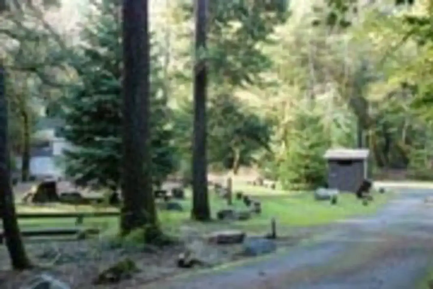 Camper-submitted photo at Boise Creek near Hoopa, CA