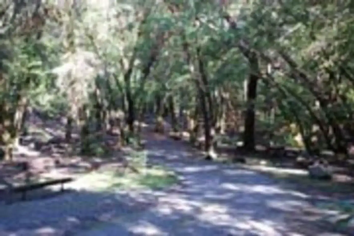 Camper-submitted photo at Boise Creek near Hoopa, CA