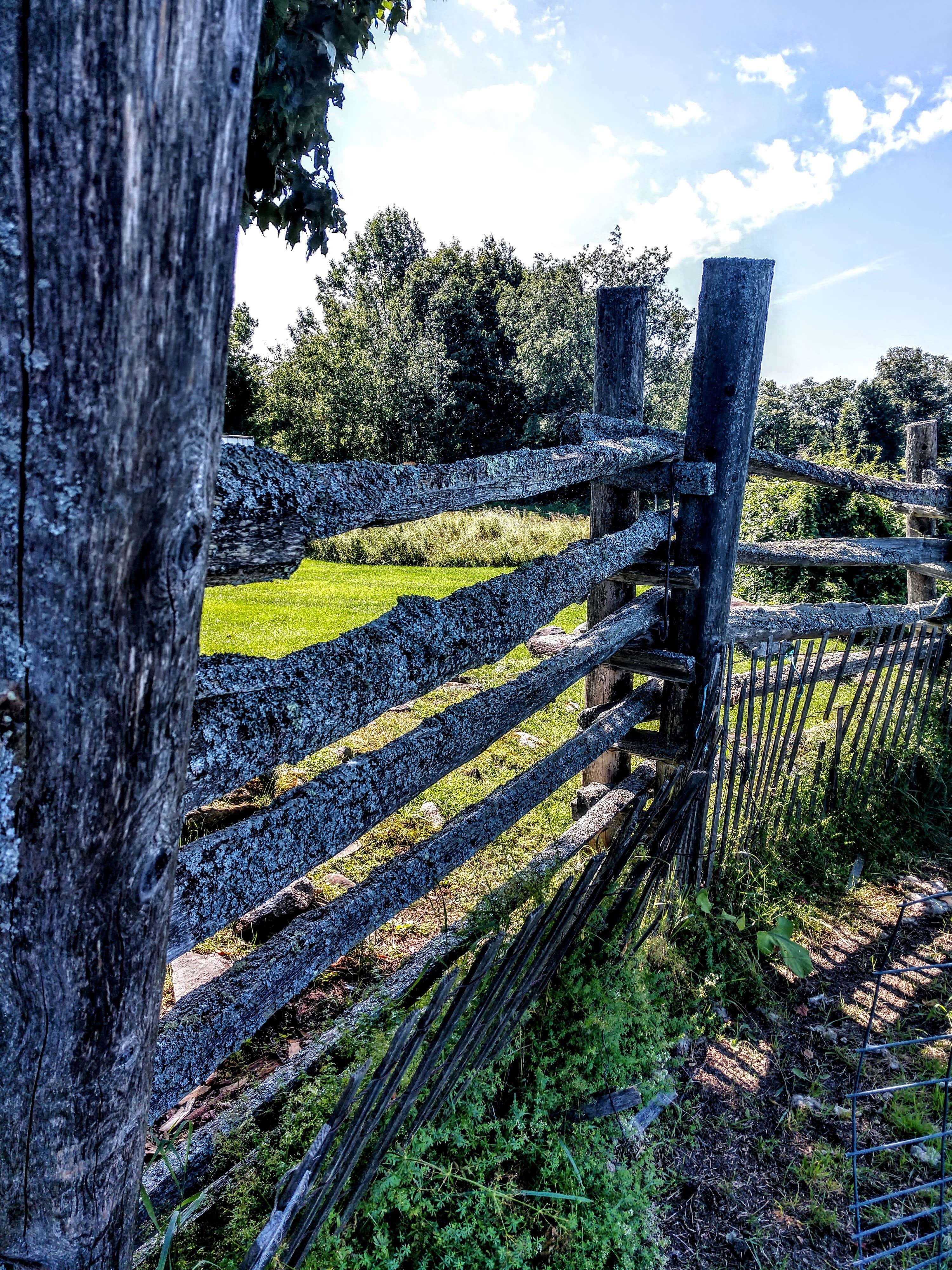 Camper submitted image from Lakeview Camping Area - PERMANENTLY CLOSED - 2