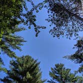 Review photo of Goose Creek Campground by Michael M., August 4, 2019