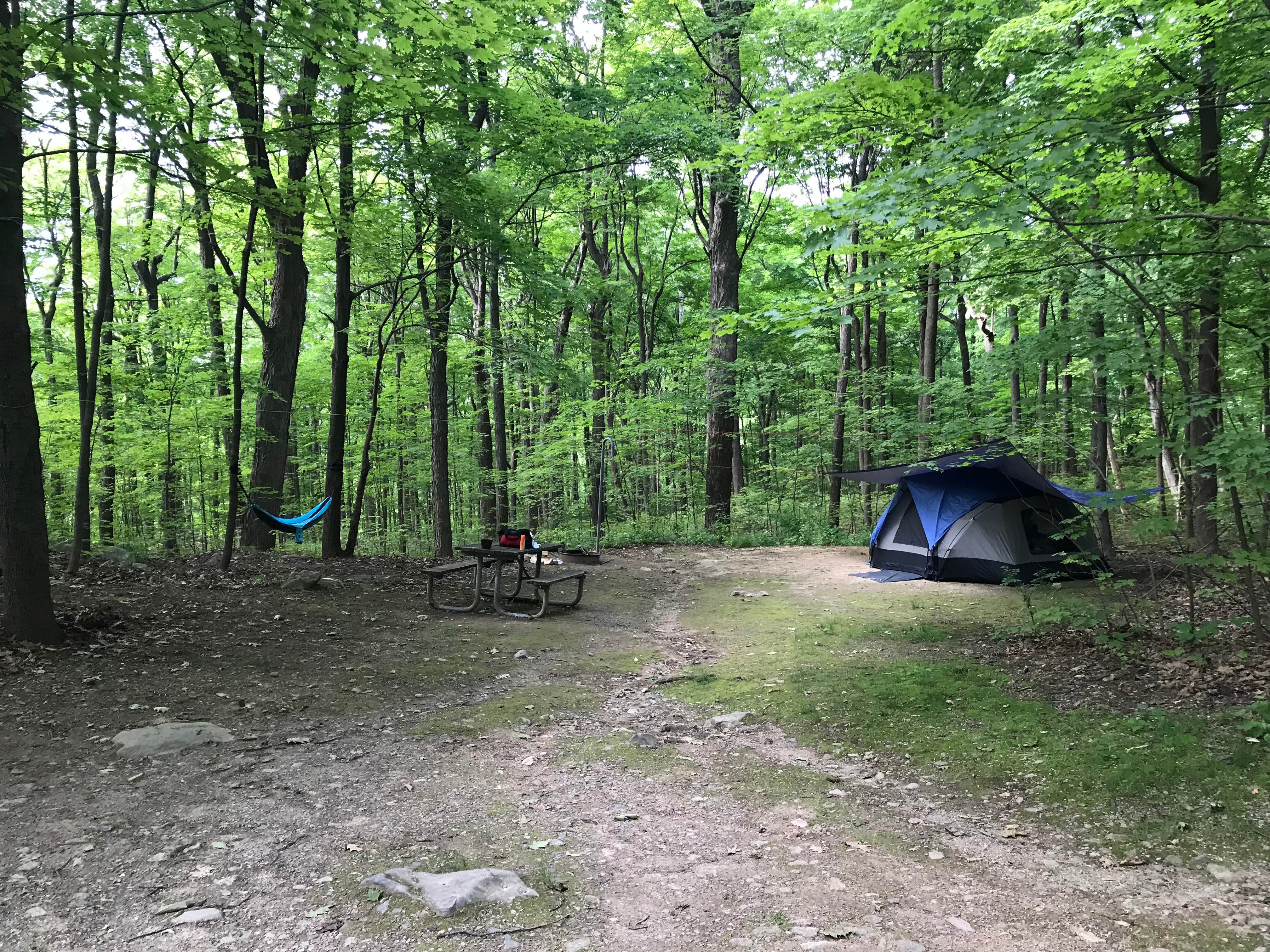 Scott O.'s photo at Jenny Jump State Forest near Andover, NJ