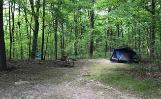 Scott O.'s photo at Jenny Jump State Forest near Andover, NJ