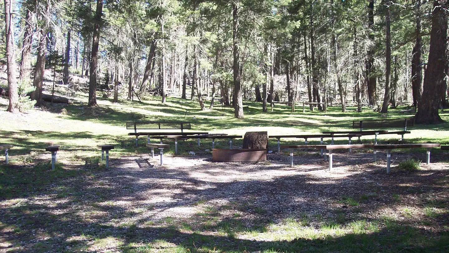 Camper submitted image from Upper Fir Group - 1