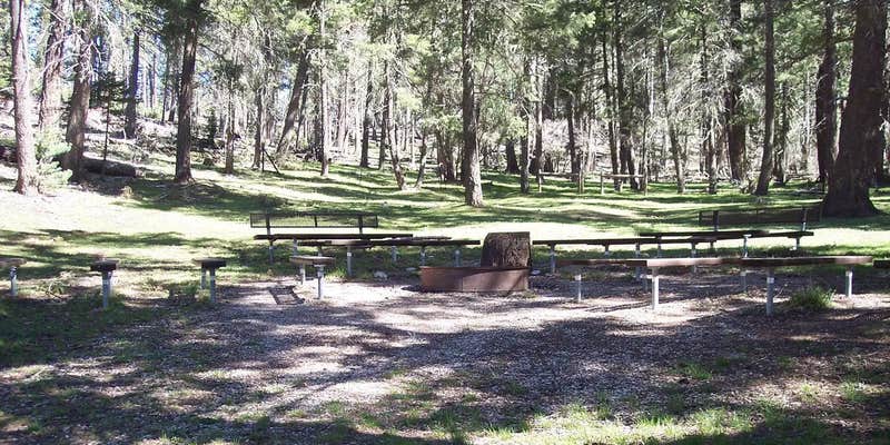 Camper submitted image from Upper Fir Group