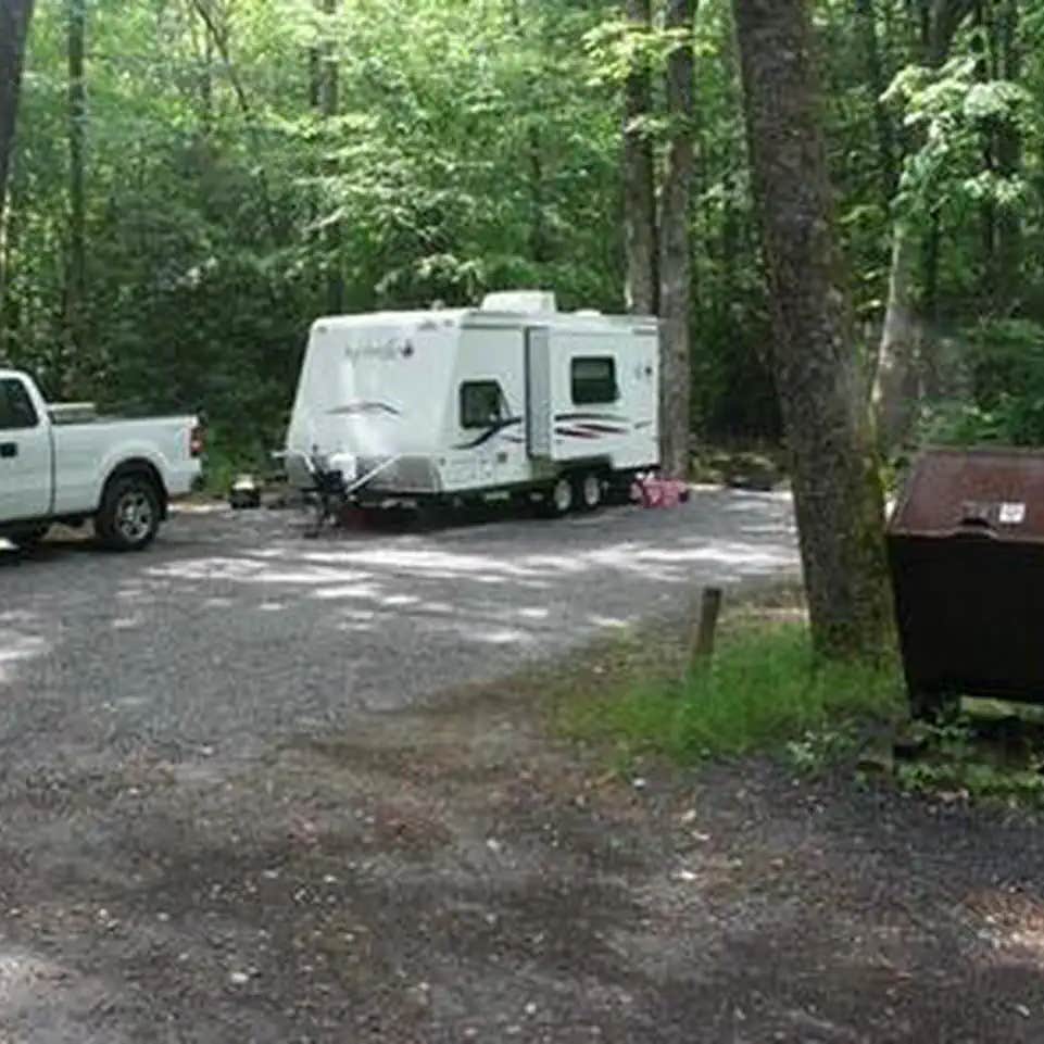 Cataloochee Campground — Great Smoky Mountains National Park