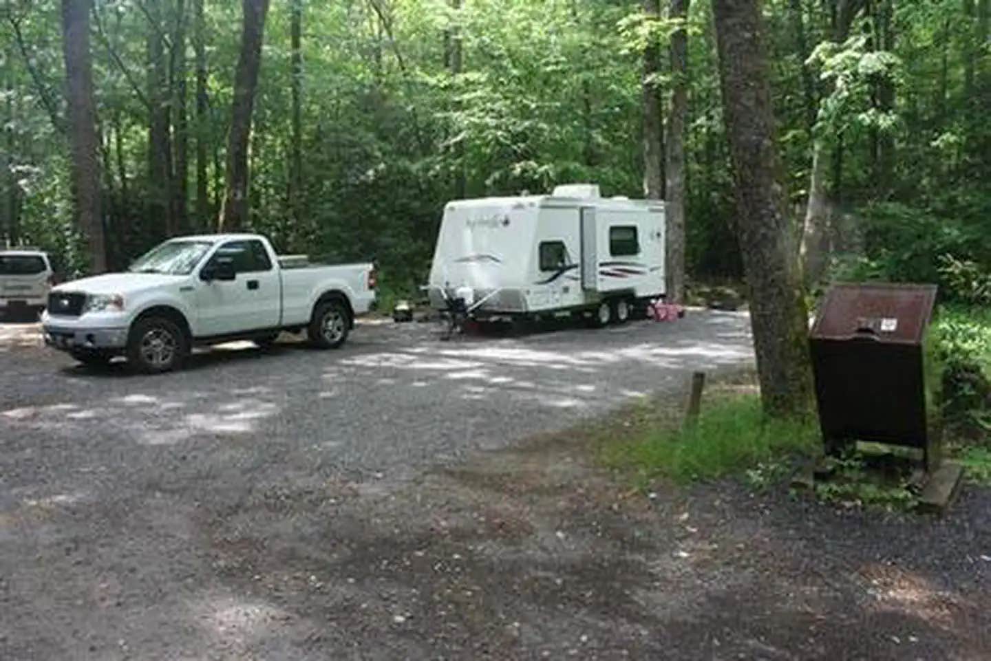 Camper submitted image from Cataloochee Campground — Great Smoky Mountains National Park - 1