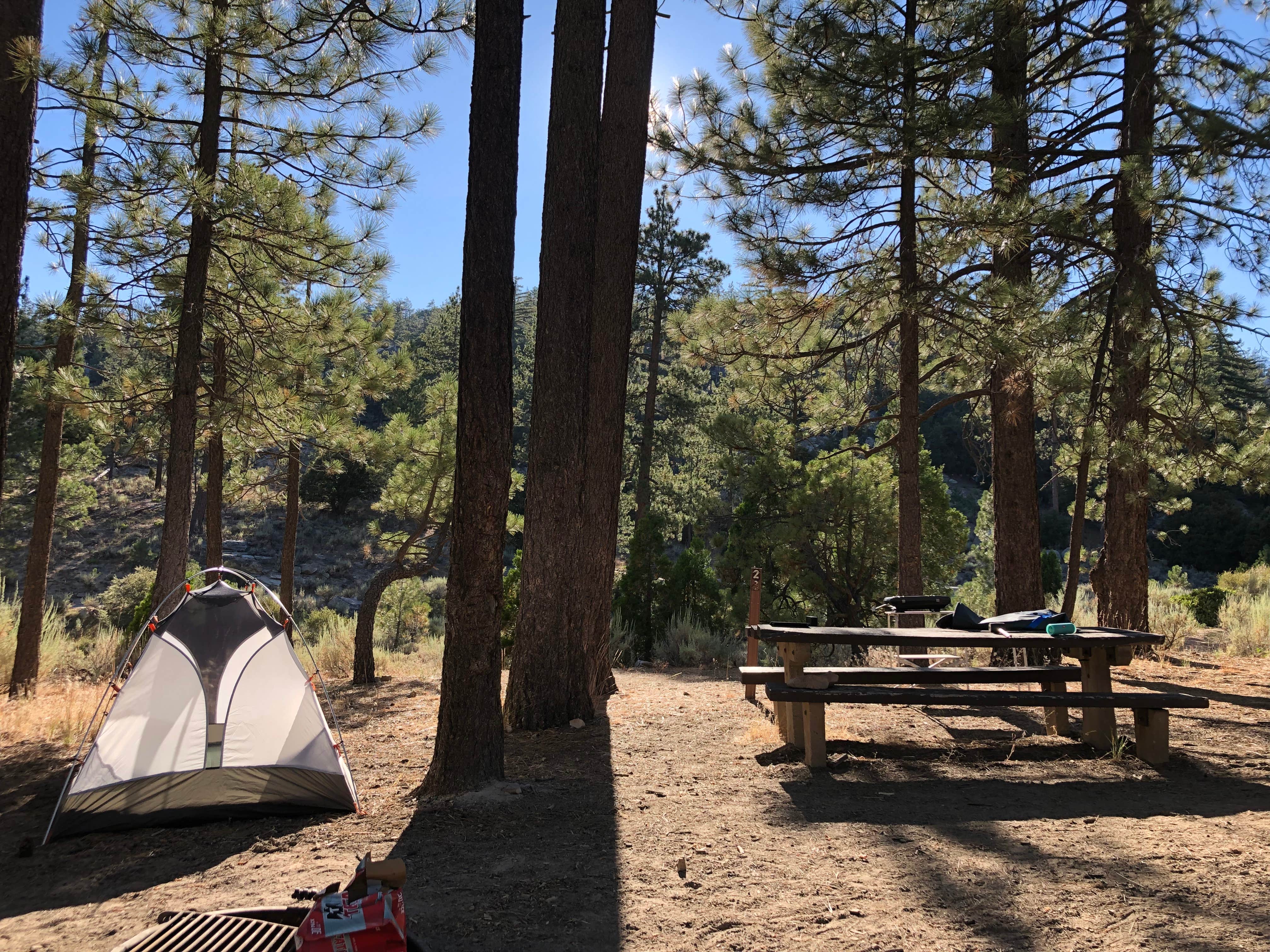 Justin B.'s photo at Horse Flats Campground near Lancaster, CA