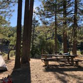 Review photo of Horse Flats Campground by Justin B., August 15, 2019