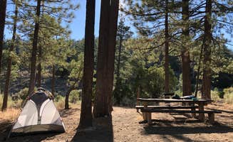 Justin B.'s photo at Horse Flats Campground near Angeles National Forest