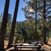 Review photo of Horse Flats Campground by Justin B., August 15, 2019