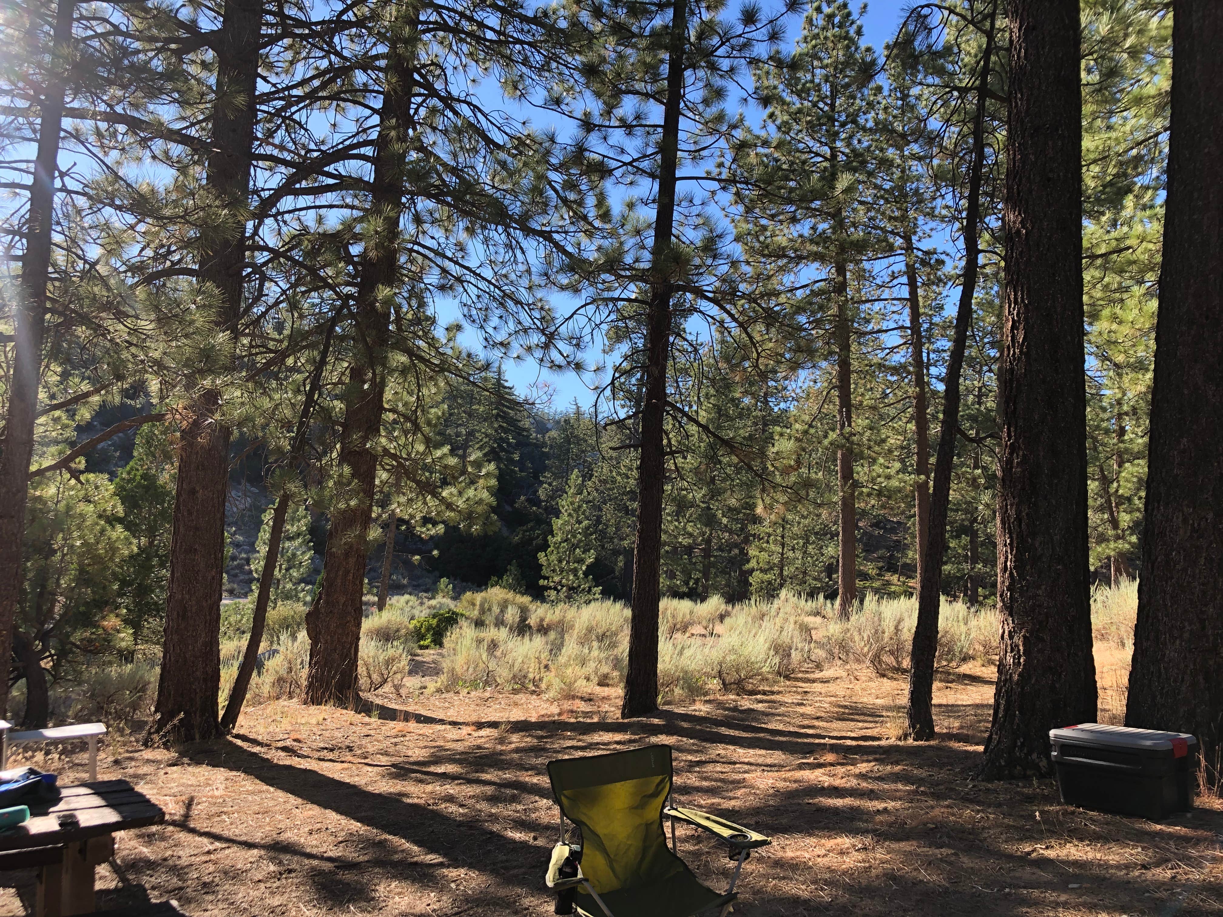 Horse Flats Campground The Dyrt