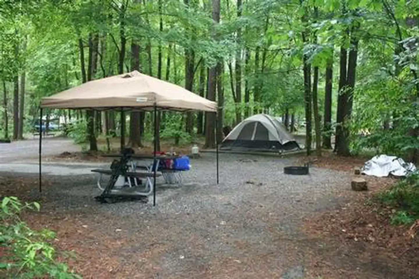 Camper-submitted photo at Cataloochee Campground — Great Smoky Mountains National Park near Canton, NC