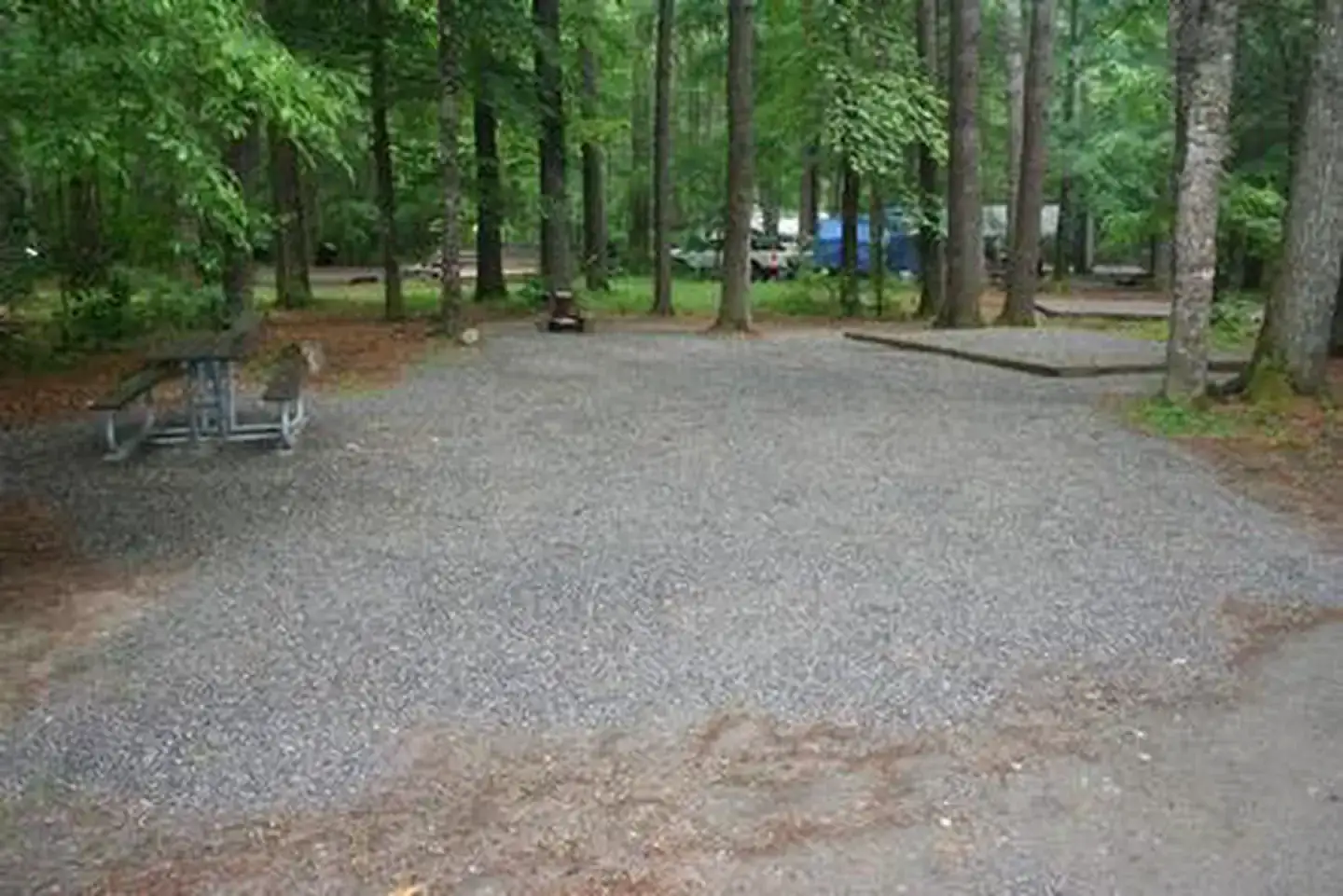 Camper-submitted photo at Cataloochee Campground — Great Smoky Mountains National Park near Canton, NC