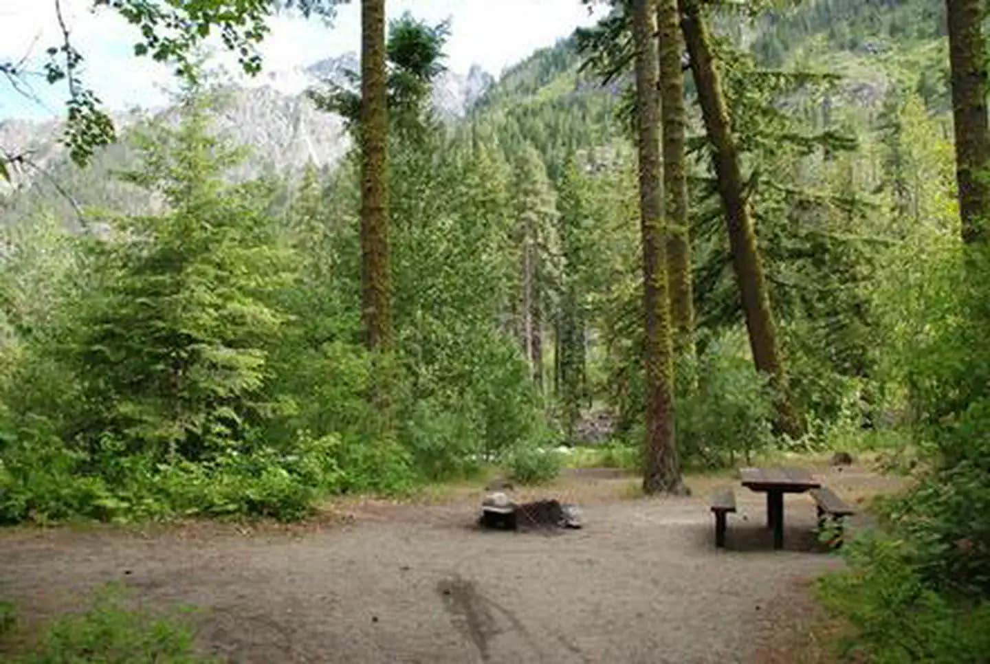 Camper submitted image from Eightmile Group Site — Okanogan Wenatchee National Forest - 1