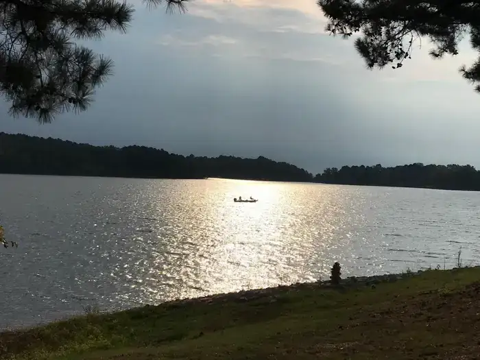 Camper-submitted photo at Wallace Creek near Sardis, MS