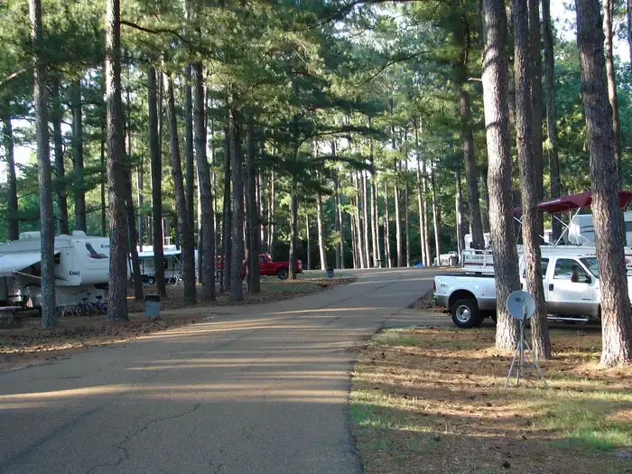 Camper-submitted photo at Wallace Creek near Sardis, MS