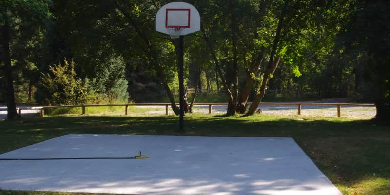 Camper submitted image from Cub River Guard Station