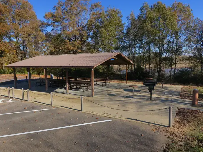 Camper-submitted photo at Wallace Creek near Sardis, MS