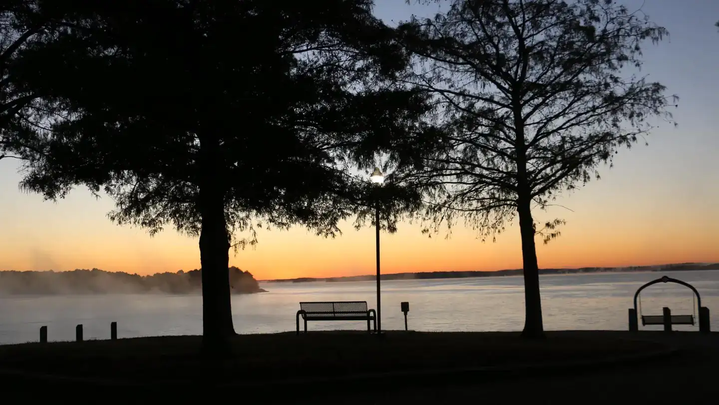 Camper-submitted photo at Wallace Creek near Sardis, MS