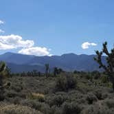 Review photo of Mt. Charleston Dispersed by Whitney W., August 16, 2019