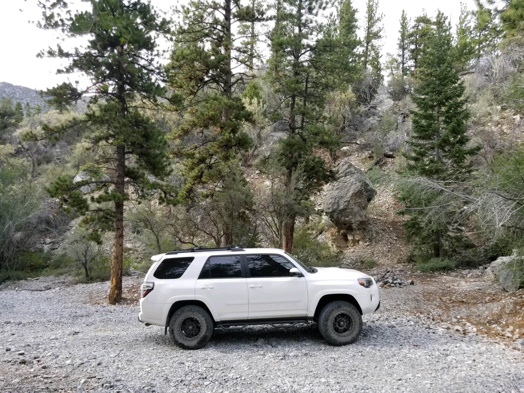 Camper-submitted photo at Mt. Charleston Dispersed near Mount Charleston, NV