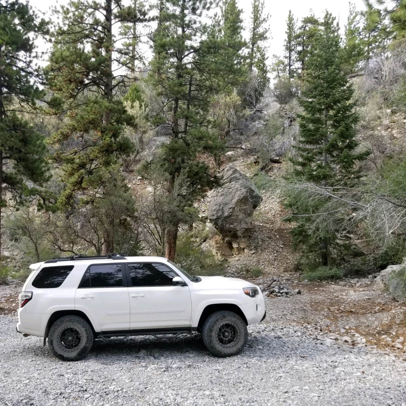 Mt. Charleston Dispersed Camping The Dyrt