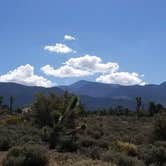 Review photo of Mt. Charleston Dispersed by Whitney W., August 16, 2019