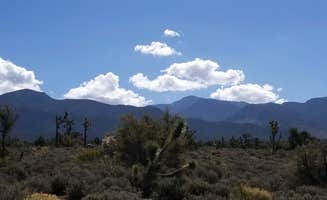Whitney W.'s photo of a dispersed camping area at Mt. Charleston Dispersed near Amargosa Valley, NV
