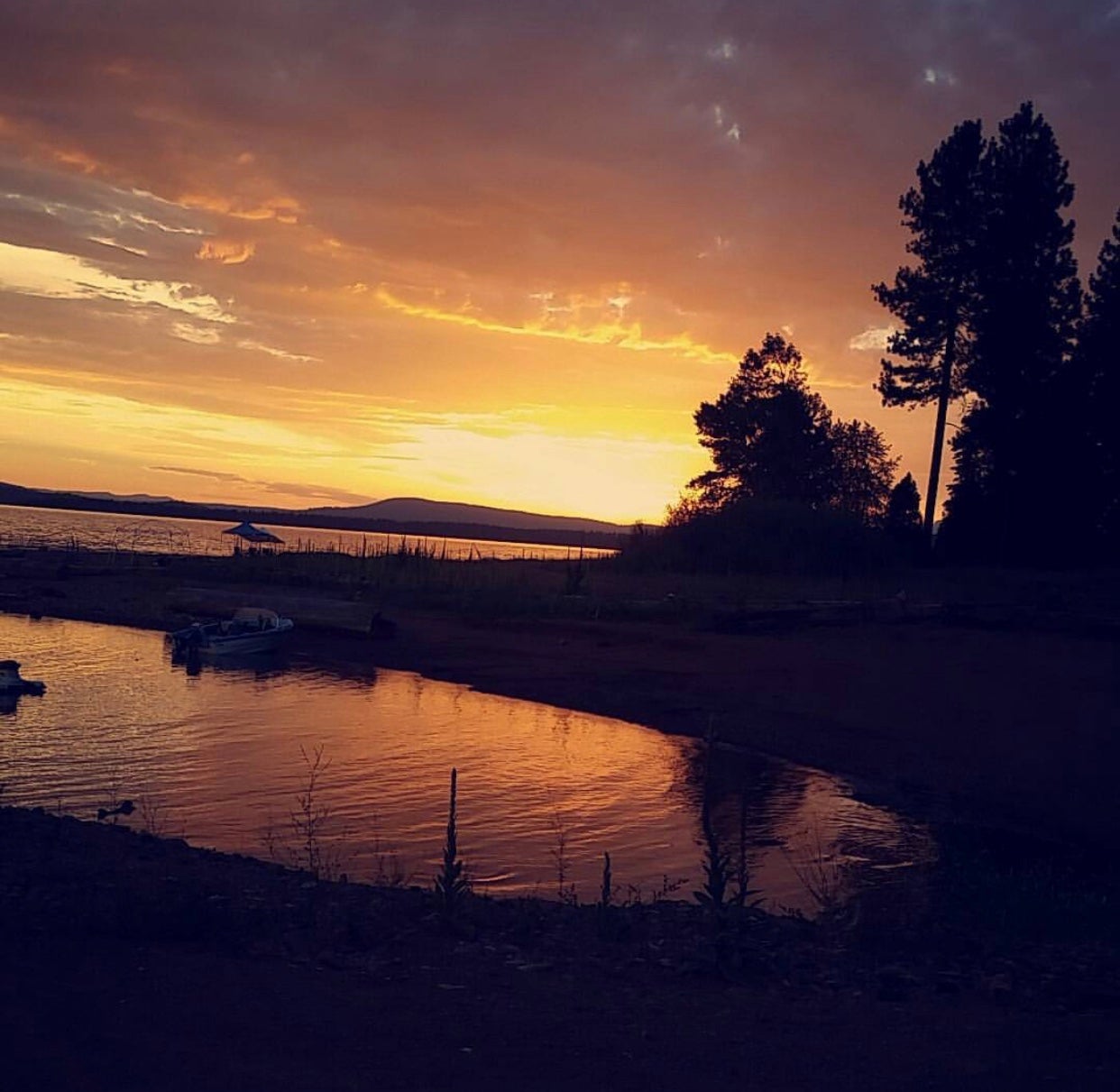 Camper submitted image from Lake Cove Resort & Marina - 3
