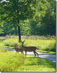 Camper-submitted photo at Lewis & Clark State Park — Lewis And Clark State Park near Epping, ND