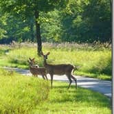 Review photo of Lewis & Clark State Park — Lewis And Clark State Park by Bran P., September 26, 2016