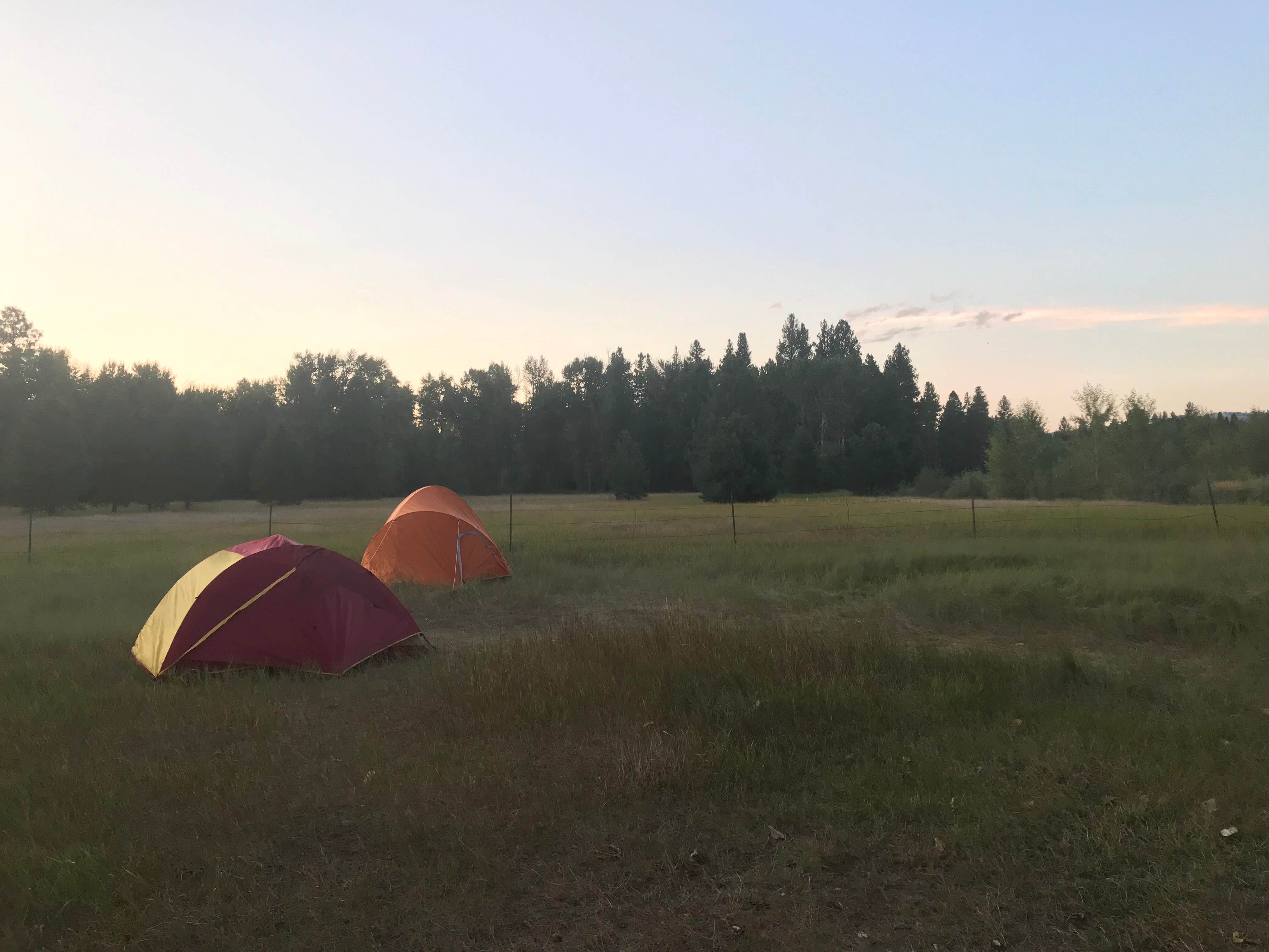 Camper submitted image from Chief Looking Glass Campground - 2