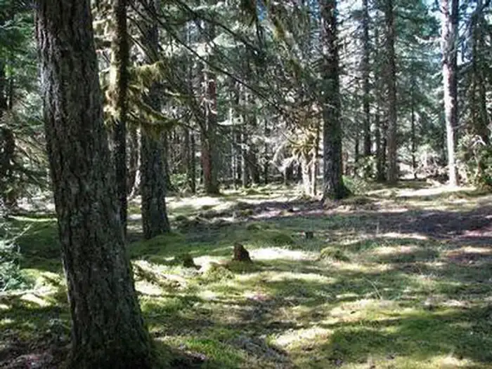 Camper-submitted photo at Riley Horse Campground near Rhododendron, OR