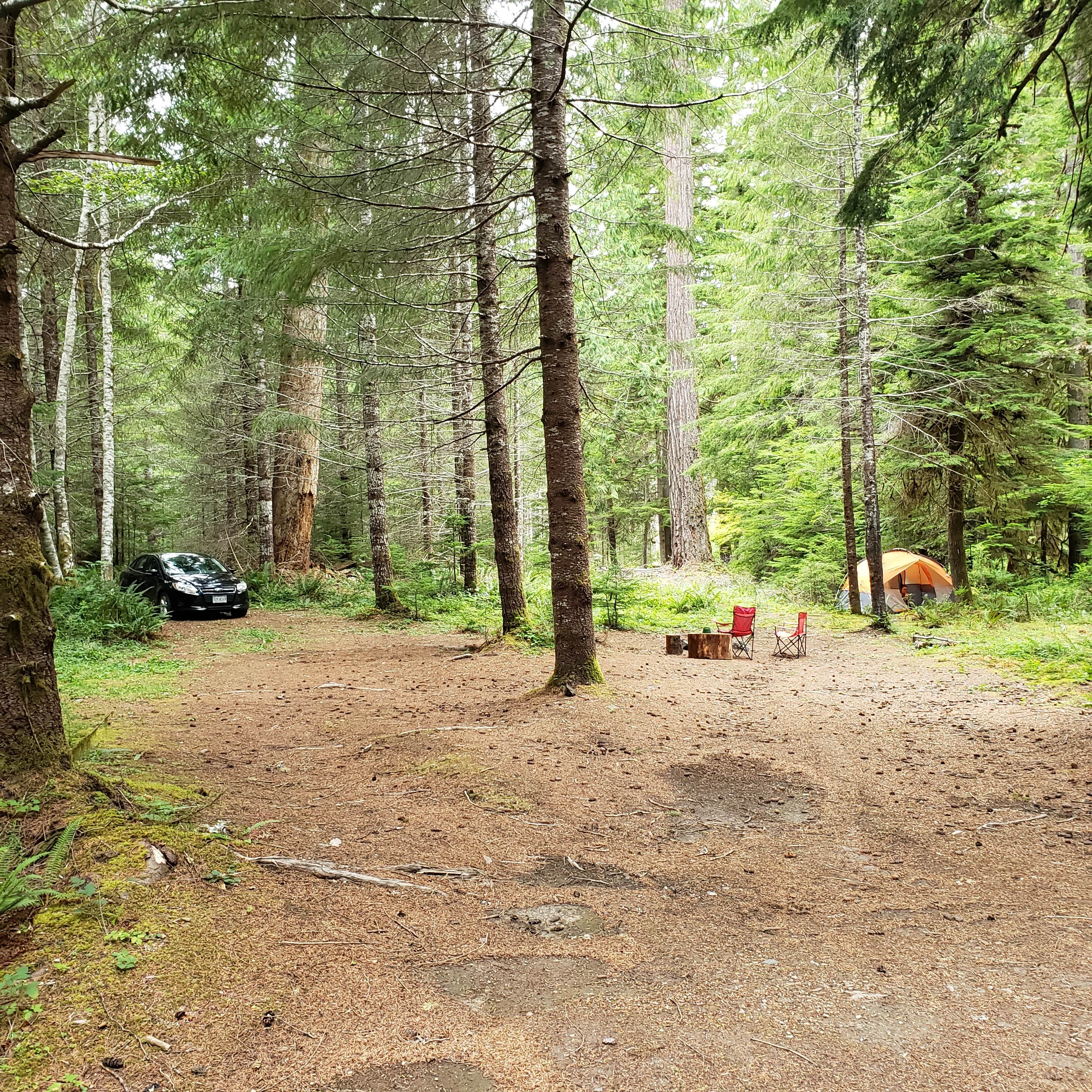 Camper submitted image from Gifford Pinchot National Forest Dispersed Site - 3