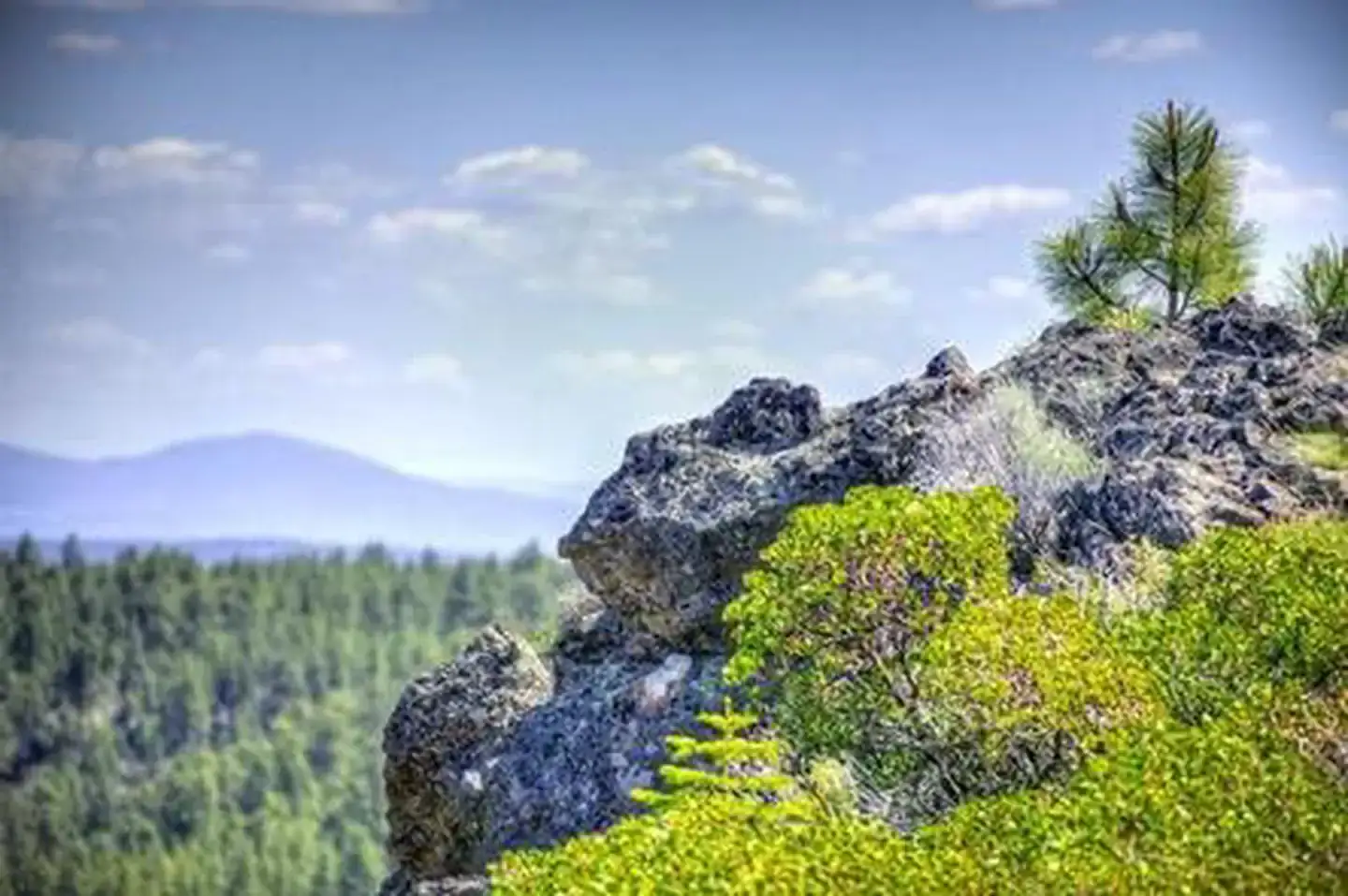 Camper-submitted photo at Driftwood Campground - Deschutes near Redmond, OR