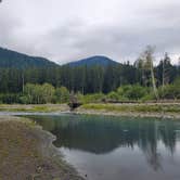 Review photo of Hoh Rain Forest - Olympic National Park by UnnamedAdventures  , August 16, 2019