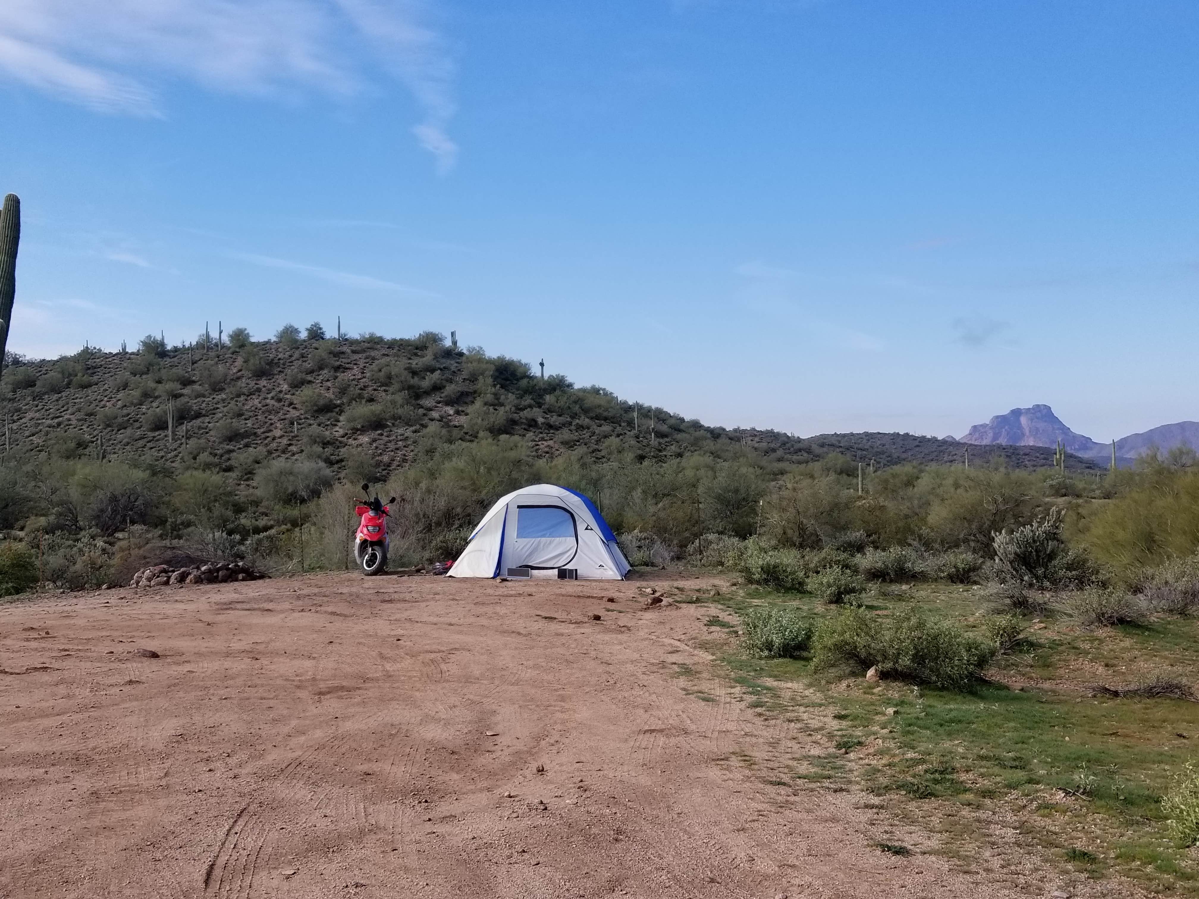 Whitney W.'s photo at Bulldog Canyon Dispersed Camping - North Entrance near Phoenix, AZ