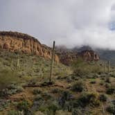 Review photo of Bulldog Canyon Dispersed Camping - North Entrance by Whitney W., August 16, 2019