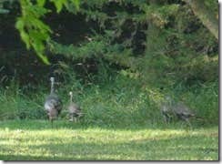 Camper submitted image from Lewis & Clark State Park — Lewis And Clark State Park - 2
