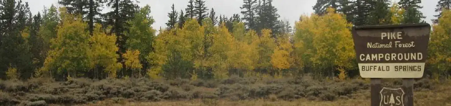 Camping near Weston Pass Campground: Buffalo Springs, Hartsel, Colorado