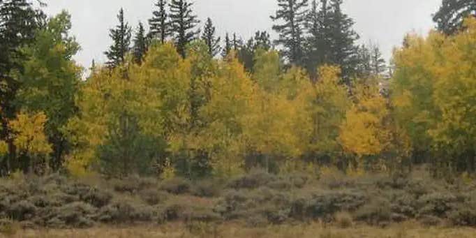 Camper submitted image from Buffalo Springs