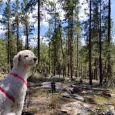 Review photo of Sinkhole Campground by Whitney W., August 16, 2019