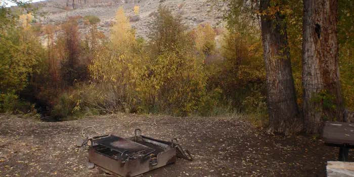 Camper submitted image from Red Creek Group Site