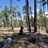 Review photo of Sinkhole Campground by Whitney W., August 16, 2019