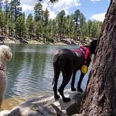 Review photo of Sinkhole Campground by Whitney W., August 16, 2019