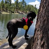 Review photo of Sinkhole Campground by Whitney W., August 16, 2019