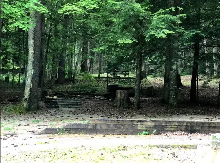 Camper-submitted photo at Hurricane Campground near Atkins, VA