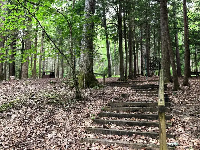Camper-submitted photo at Hurricane Campground near Rural Retreat, VA