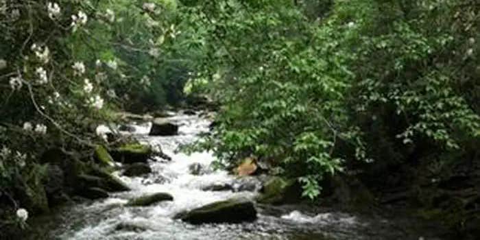 Camper submitted image from Curtis Creek Campground